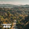 Sam Feldt – Heartfeldt Radio #460