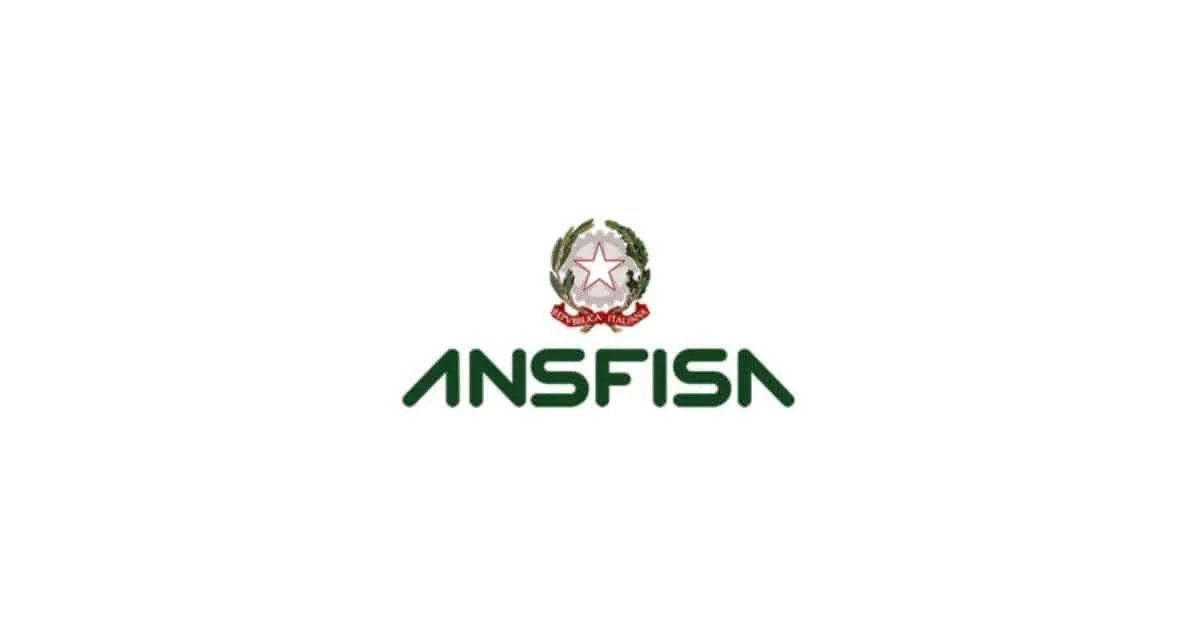 Sfondo