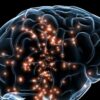 Nel cervello le tracce dei traumi vissuti nell’infanzia – Biotech