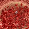 Da un’analisi del sangue la spia dell’età biologica di 11 organi – Biotech