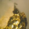 L’impatto di un meteorite potrebbe aver fatto piovere oro sull’Australia – News