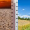 Caldo intenso, analisi e previsioni del climatologo