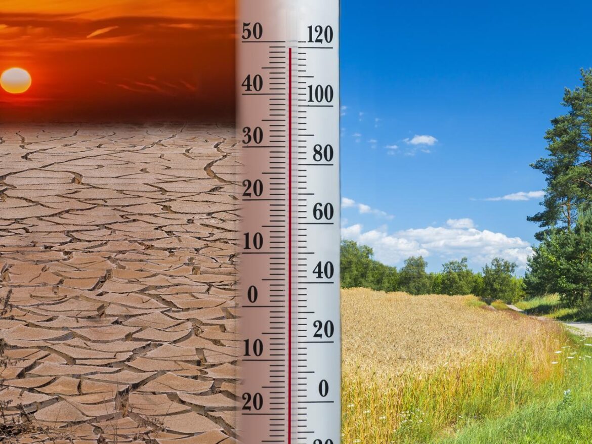 Caldo intenso, analisi e previsioni del climatologo