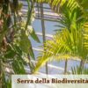 Roma, nasce la Serra della Biodiversità Tropicale – Green