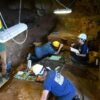 In Liguria le ultime tracce dell’uomo di Neanderthal in Europa – Ricerca e Istituzioni