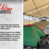 I fan di Ultimo già in fila per il concerto-evento a Tor Vergata, l’appello: “Non esponetevi al caldo”
