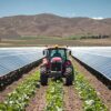 Con l’agrivoltaico reddito da 2mila euro al mese e bollette azzerate