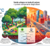Isole di calore urbane, fino a 4°C in meno con riforestazione